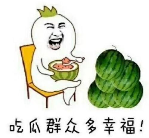 娱乐吃瓜的瓜哪里来的,探寻网络热词背后的故事